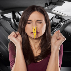 Как избавиться от запаха в салоне автомобиля?